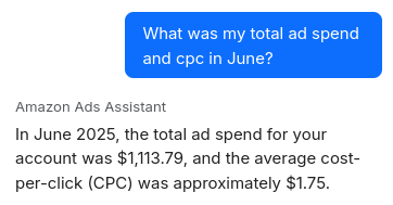 Chat with your Amazon Ads data